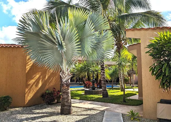 Myoli Wellness&happiness 4* Playa del Carmen